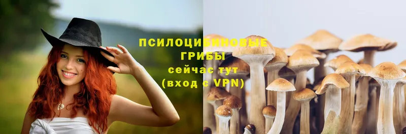 Псилоцибиновые грибы Magic Shrooms  закладка  ссылка на мегу ONION  Лагань 